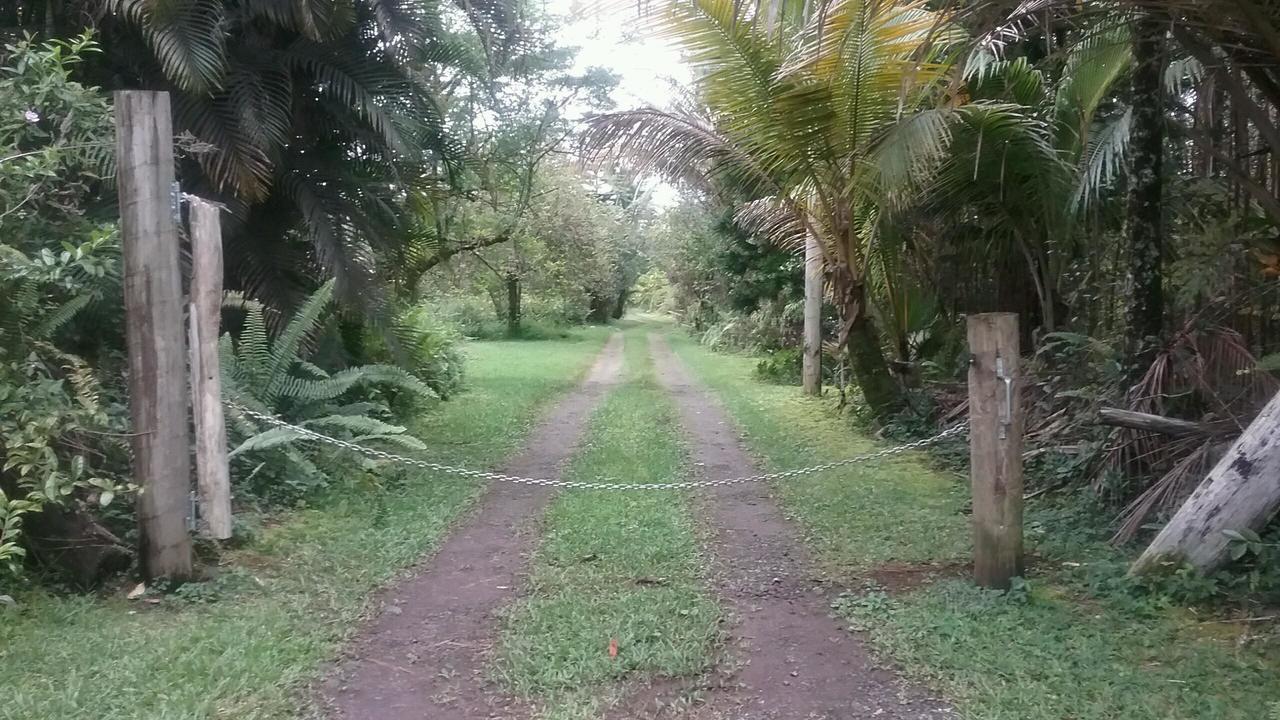 Hawaii Tropical Volcano Mansion + Sauna Hilo Bagian luar foto